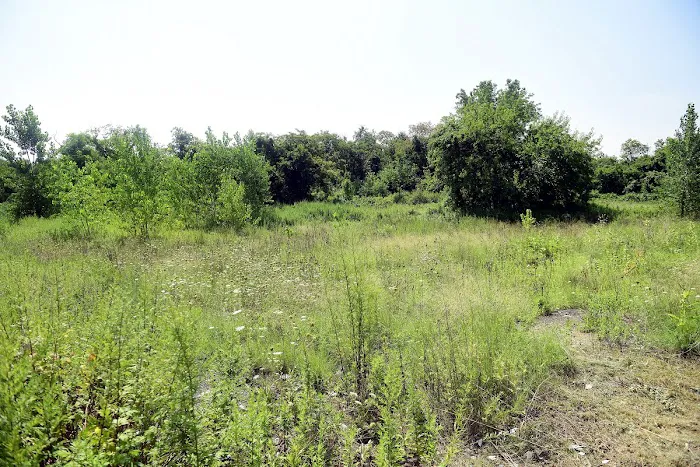 Spring Creek Park Picture 2