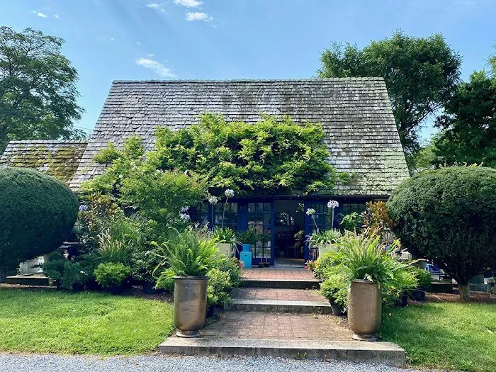 Bayberry House & Garden Center Picture 5