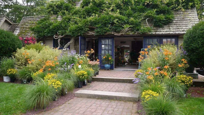 Bayberry House & Garden Center Picture 2
