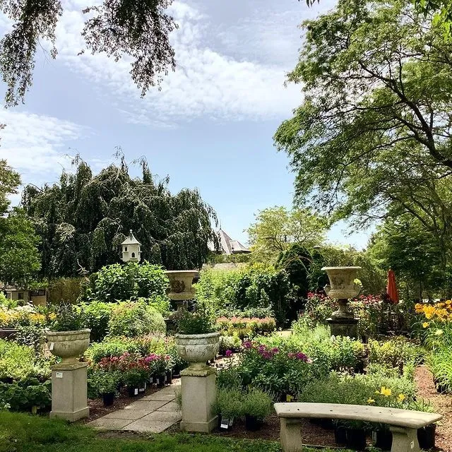 Bayberry House & Garden Center Picture 3