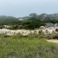 Atlantic Double Dunes Preserve ico