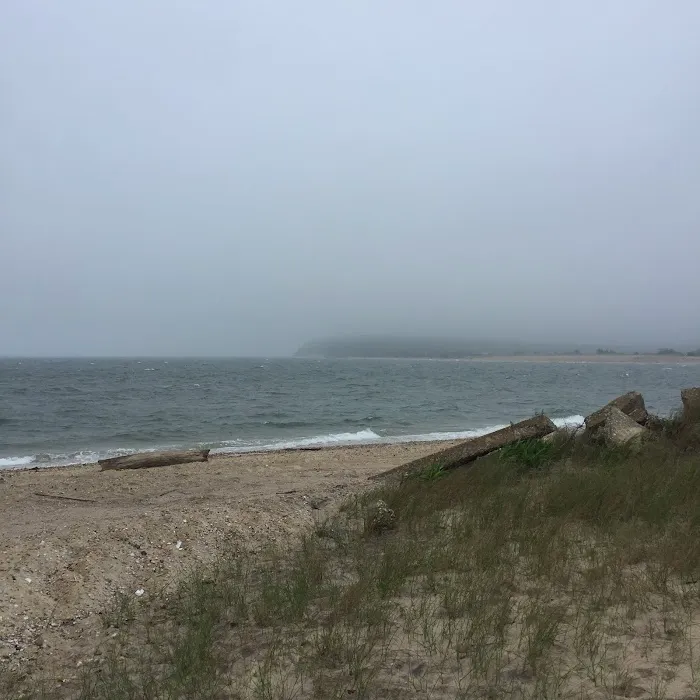 Town of East Hampton Gerard Drive Nature Park Preserve Picture 9