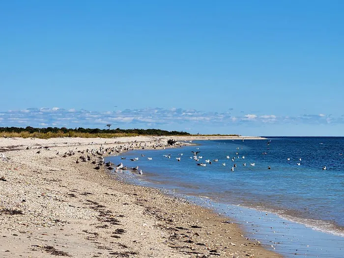 Orient Beach State Park Picture 6
