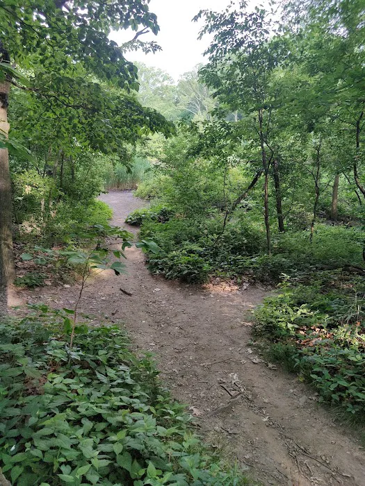 Strack Memorial Park Picture 9
