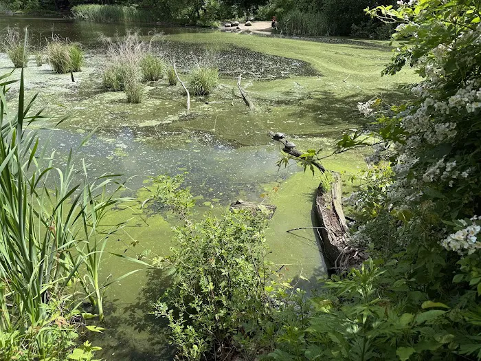 Strack Memorial Park Picture 8