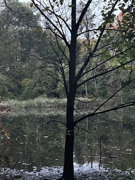 Strack Memorial Park Picture 2