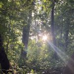 Strack Memorial Park