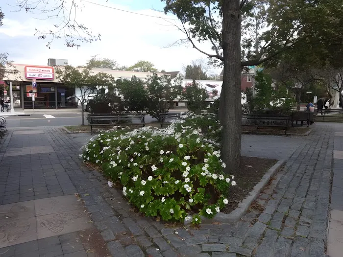 Fleetwood Triangle Picture 9