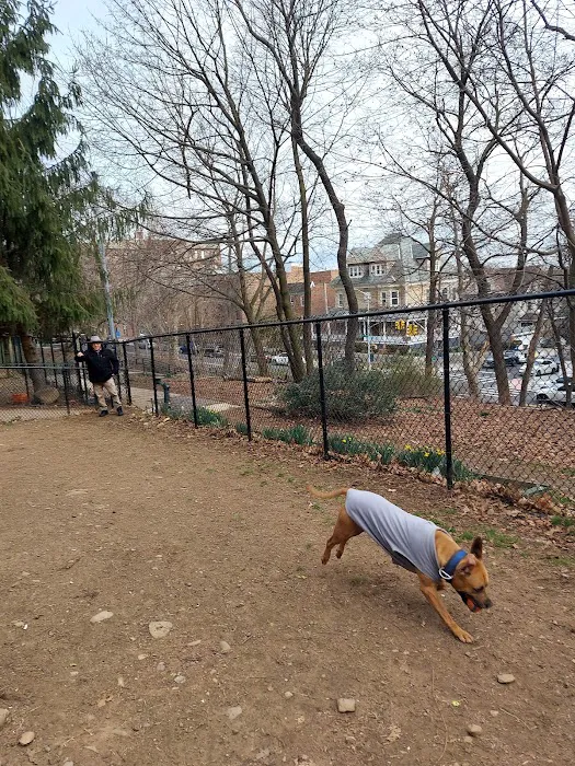 K9 Korral Dog Run Picture 2