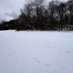 K9 Korral Dog Run