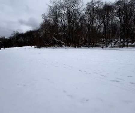 K9 Korral Dog Run