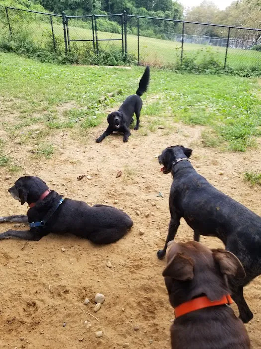 K9 Korral Dog Run Picture 3