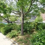 Horsebrook Island