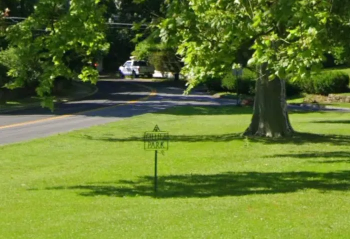 Gillies Park Picture 1