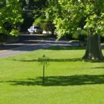 Gillies Park