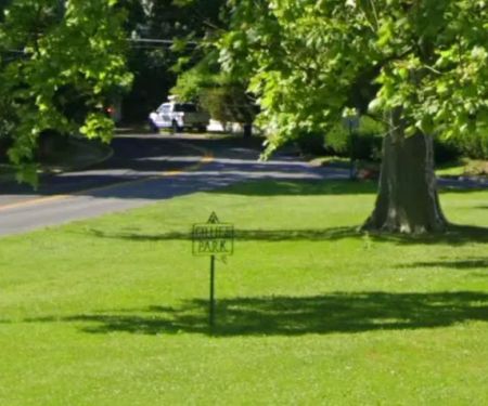 Gillies Park