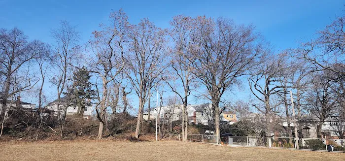 Bregano Park Picture 7
