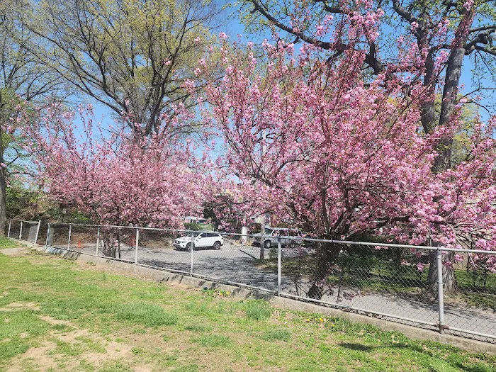 Bregano Park Picture 8