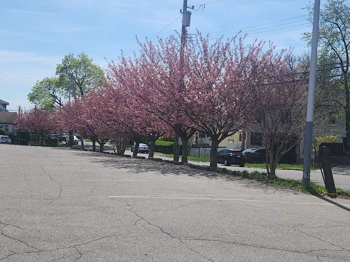 Bregano Park Picture 4
