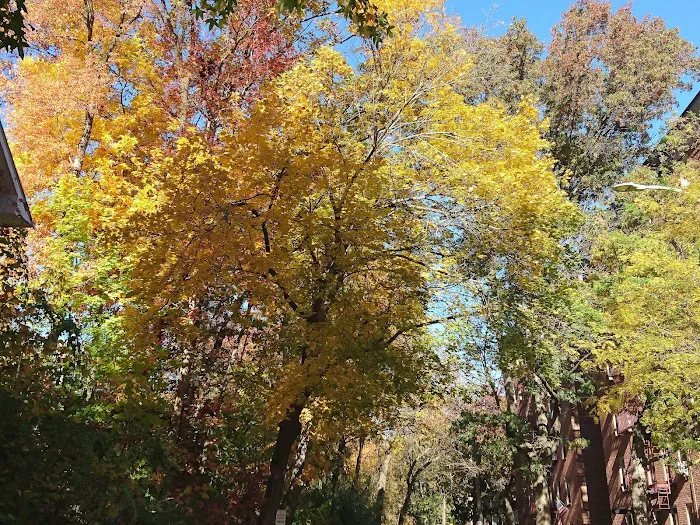 Georgia Avenue Park Picture 8