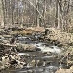 Twin Lakes County Park