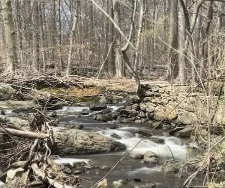 Twin Lakes County Park