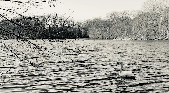 Twin Lakes County Park Picture 10