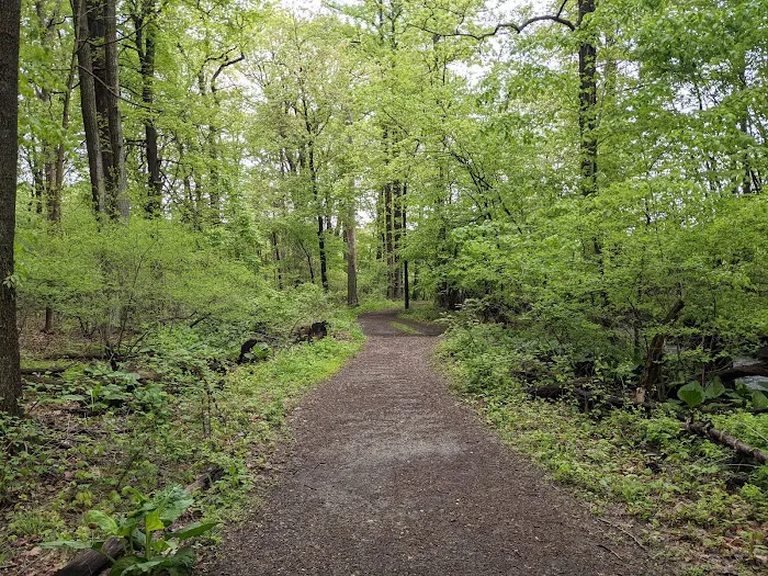 Twin Lakes County Park Picture 8