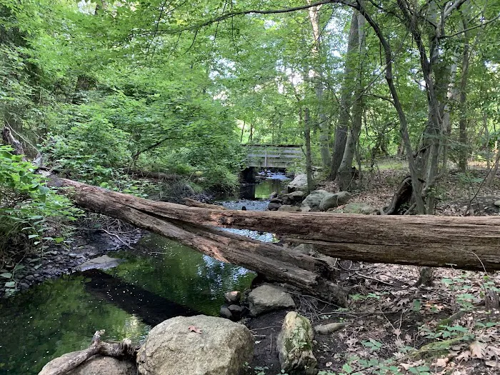 Twin Lakes County Park Picture 6