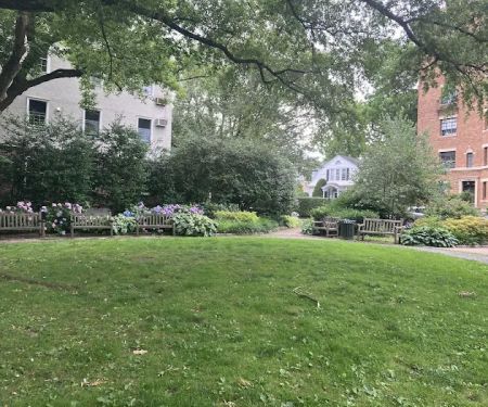 Bicentennial Park