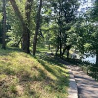Dogwood Park ico