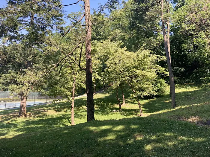 Dogwood Park Picture 3