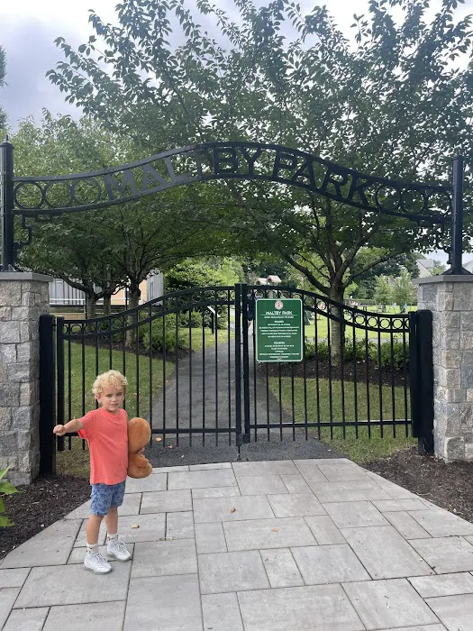 Maltby Park Playground Picture 7