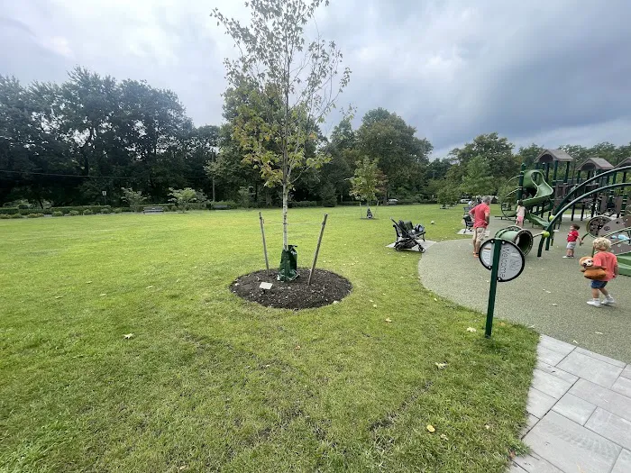 Maltby Park Playground Picture 8