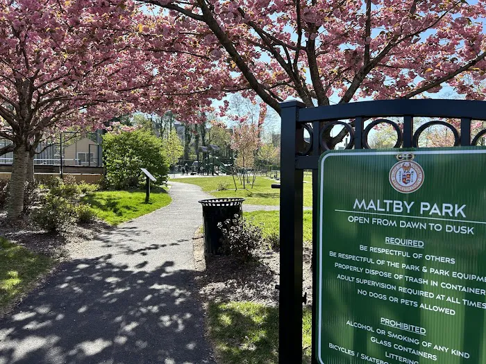 Maltby Park Playground Picture 3