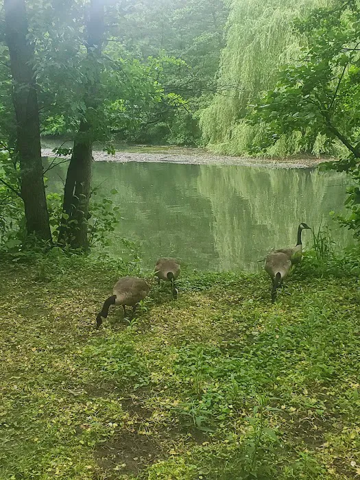 Bronx River Pathway Picture 9
