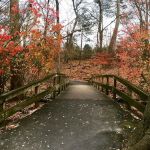 Bronx River Pathway