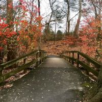 Bronx River Pathway ico