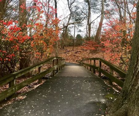 Bronx River Pathway
