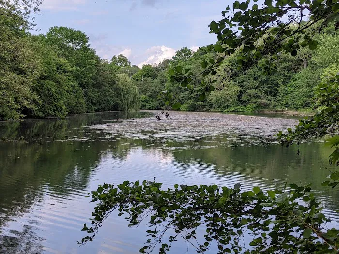Bronx River Pathway Picture 8