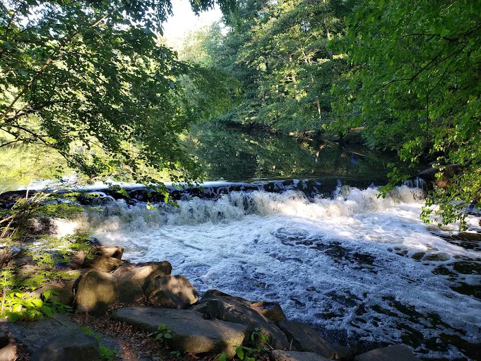 Bronx River Pathway Picture 7
