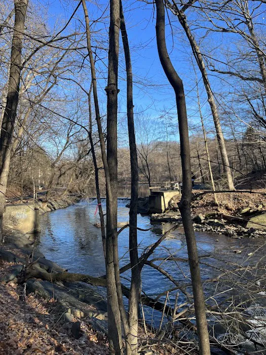 Bronx River Pathway Picture 10