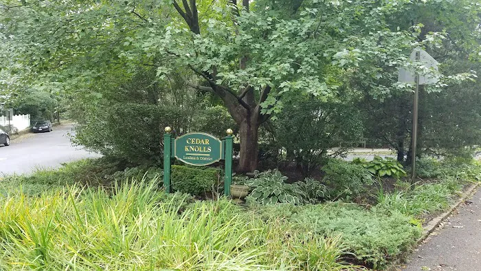 Darcy Park Picture 5
