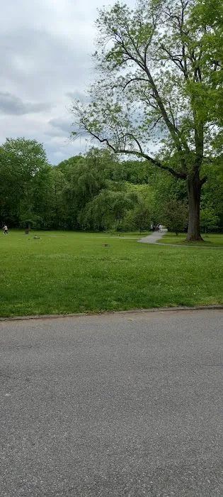 Tuckahoe Duck Pond Picture 3