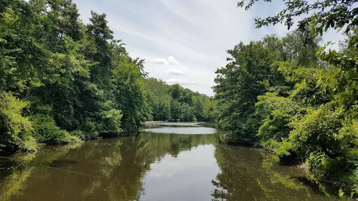 Tuckahoe Duck Pond Picture 6