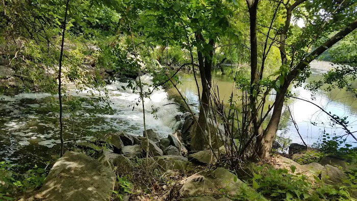 Tuckahoe Duck Pond Picture 5