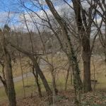 Tuckahoe Duck Pond