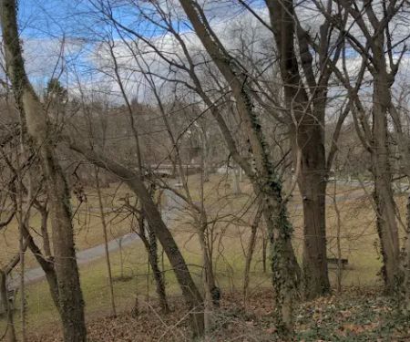Tuckahoe Duck Pond