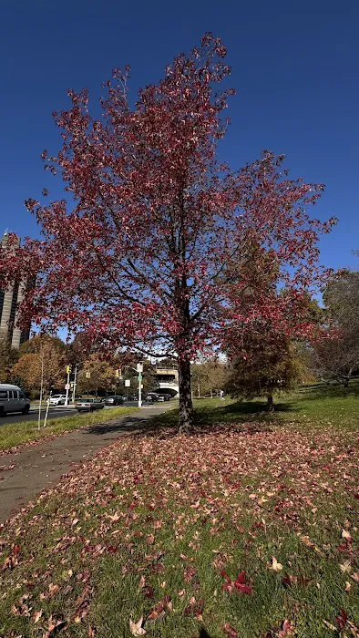 Mosholu Parkway Picture 8