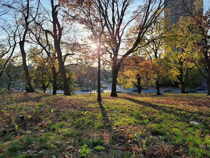 Mosholu Parkway Picture 1